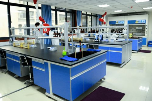 破局创新，智领未来——重庆生猪育种技术开发的战略路径