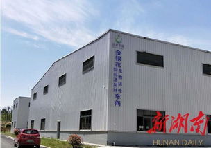 隆回产业引领 技术咨询赋能，流金淌银绘就新蓝图